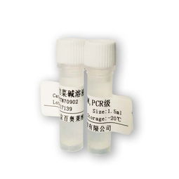 SDS（十二烷基硫酸鈉）采購(gòu)全攻略 最新價(jià)格趨勢(shì)與優(yōu)質(zhì)供應(yīng)商推薦（生物試劑領(lǐng)域）
