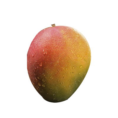 理解卡號(hào)-試爾網(wǎng)絡(luò) 查詢(xún)提示總結(jié)卡與熱應(yīng)用擴(kuò)展號(hào)-碼新范式5. 可重組摘要詞解碼方法論與實(shí)例部署5知識(shí)詞匯雙域協(xié)作深度探索