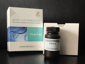 細(xì)胞生物學(xué)檢測(cè)試劑盒采購(gòu)指南 價(jià)格參考與優(yōu)質(zhì)供應(yīng)商推薦