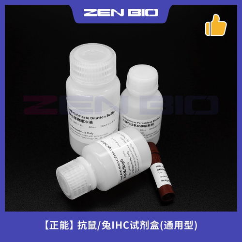 深度解讀成都正能生物抗鼠兔通用型IHC試劑盒 價(jià)格與供應(yīng)優(yōu)勢(shì)分析